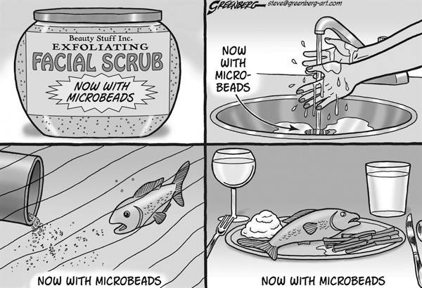 microbeads steve greenberg