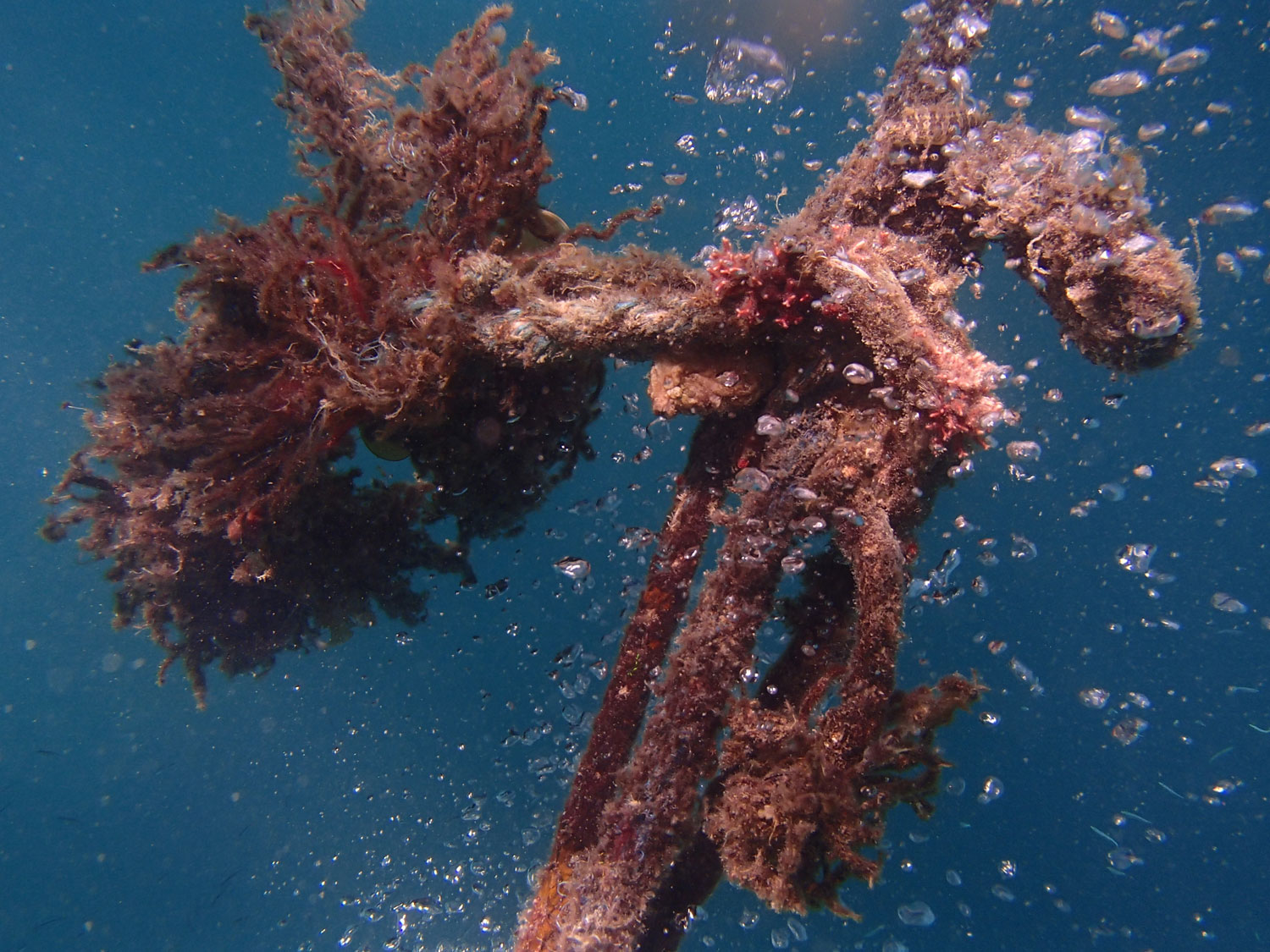 bedreigen voor oceanen