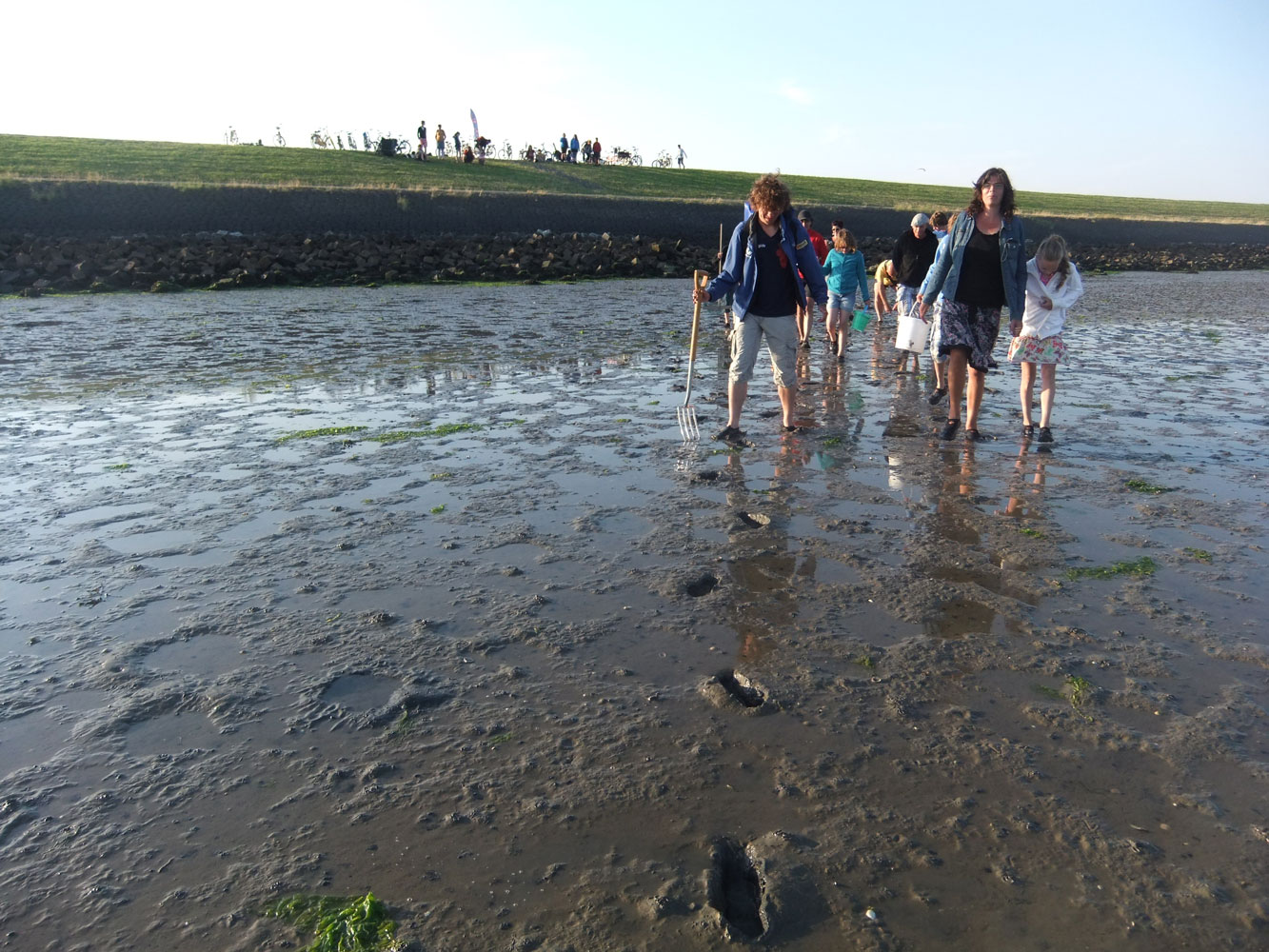 wadlopen