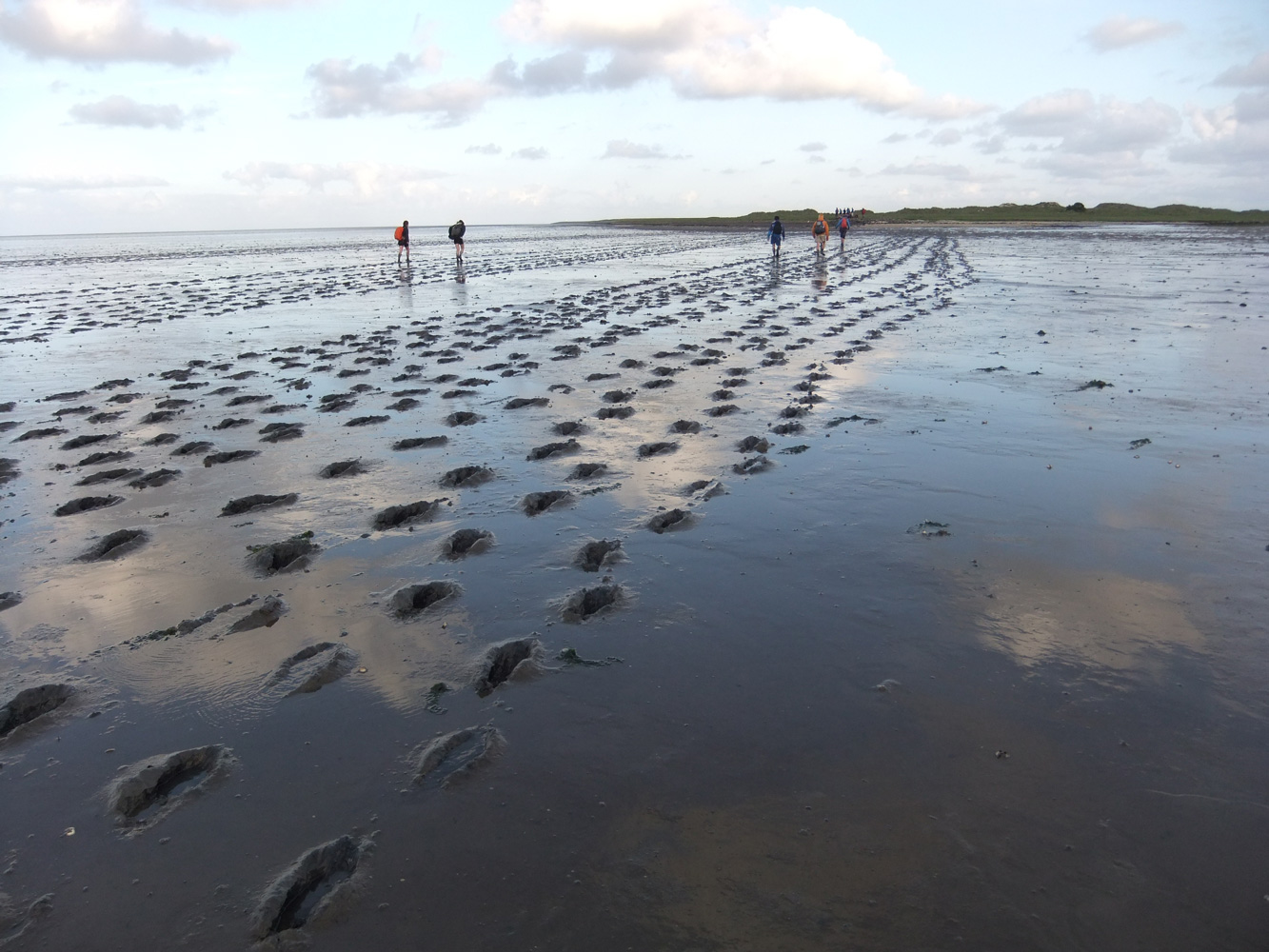 wadlopen