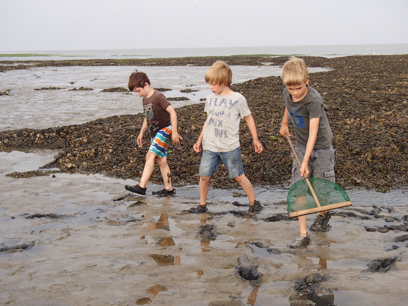 wadlopen