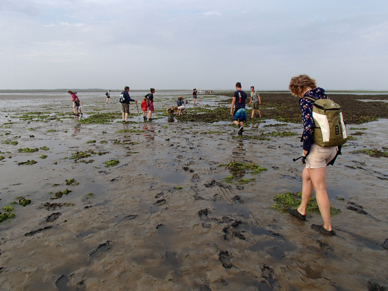 wadlopen