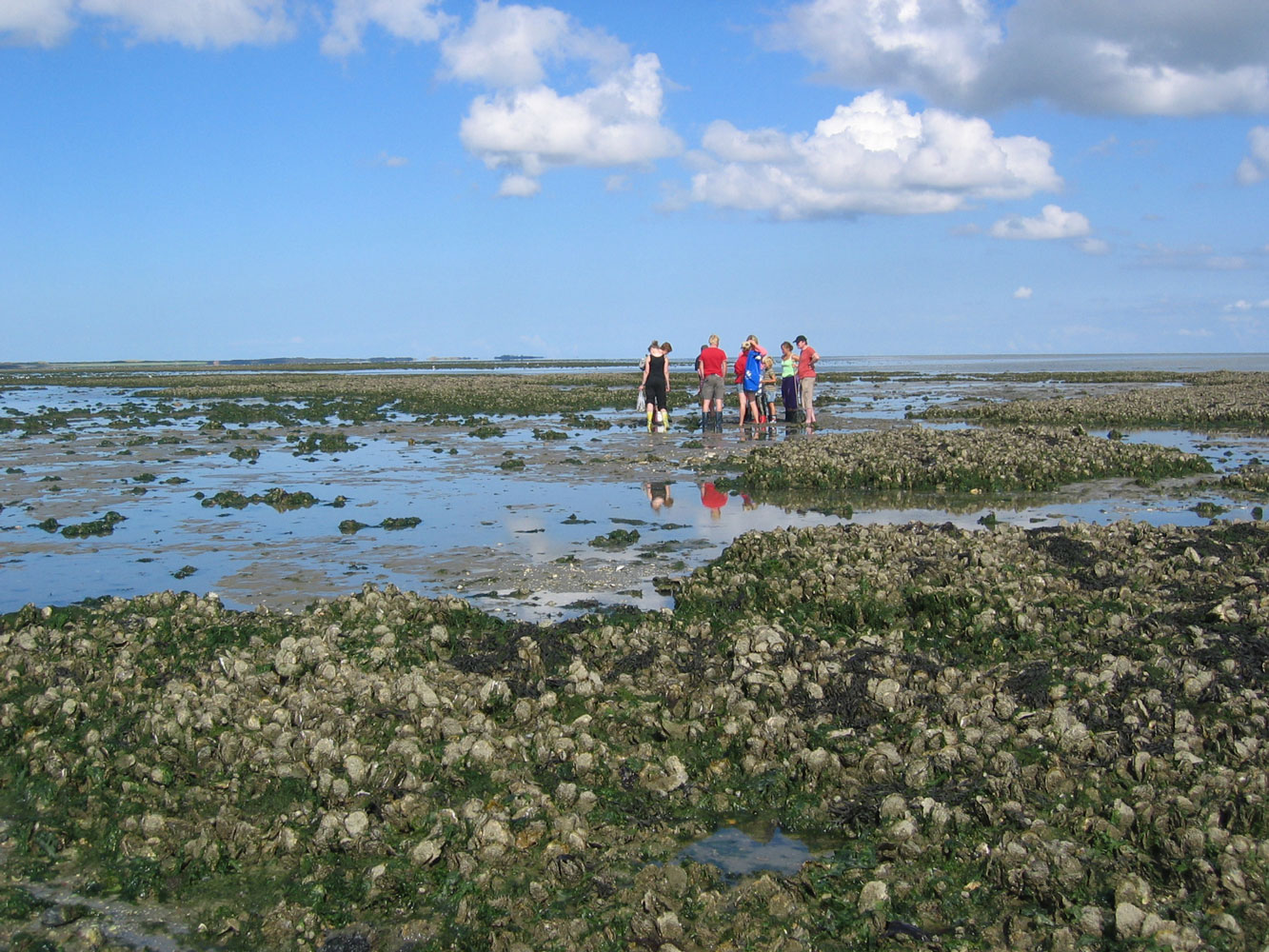 wadlopen