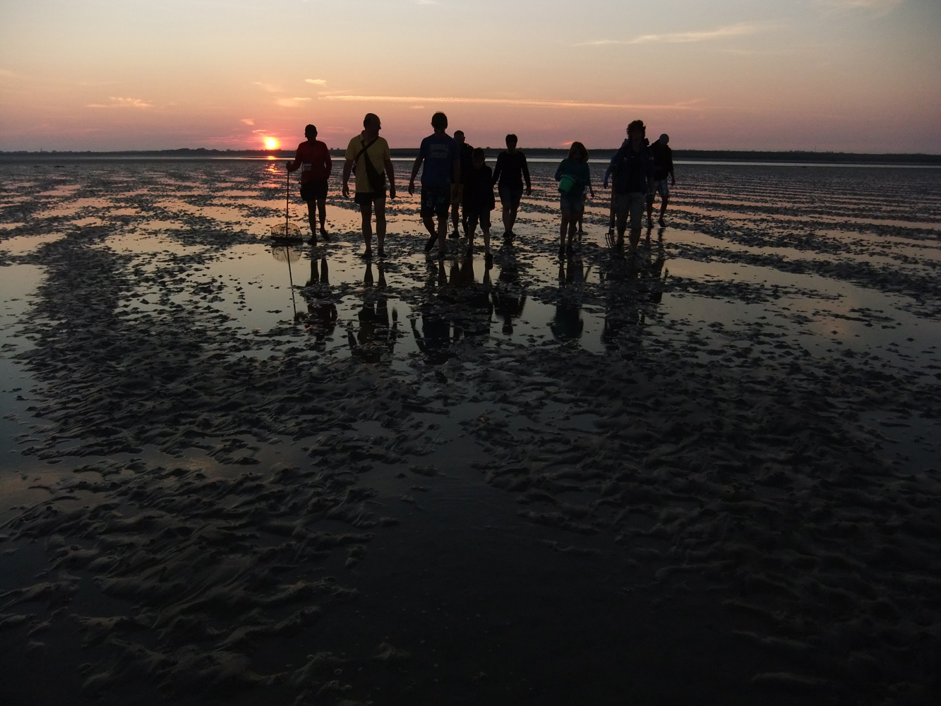 wadlopen