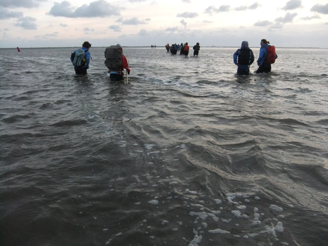 wadlopen