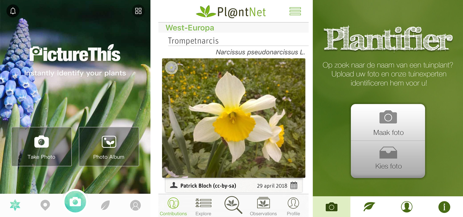Apps Voor Het Identificeren En Verzorgen Van Je Planten Zaailingen