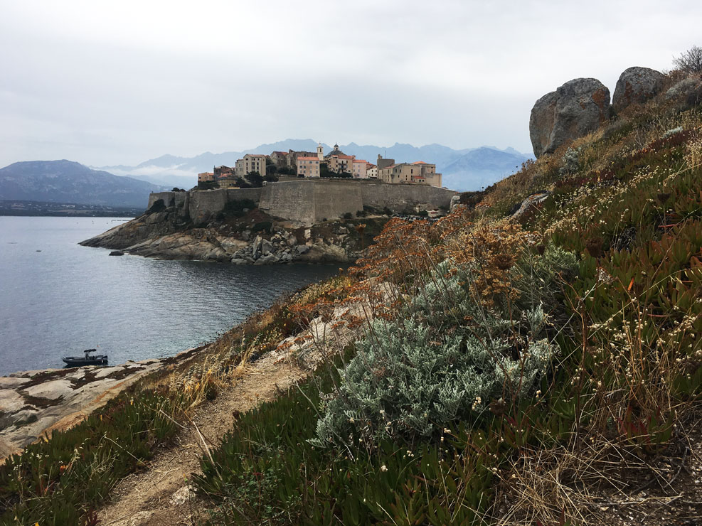 corsica